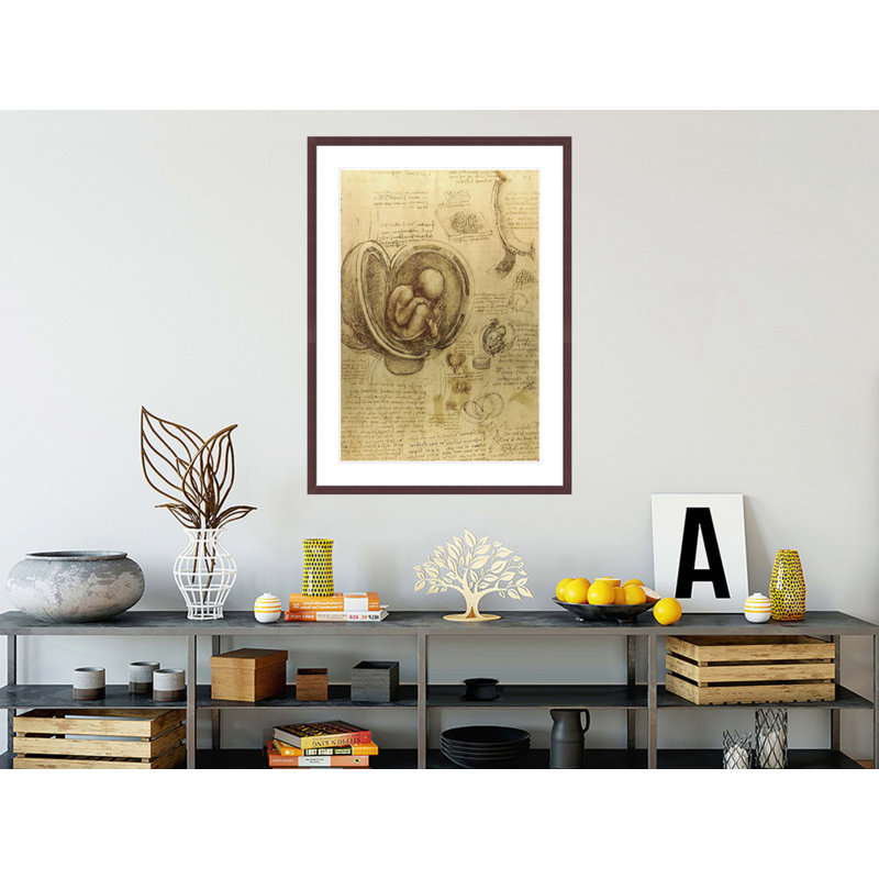 Study of fetus by Leonardo da Vinci -Framed Giclee Print, H 41,5 po x l 30,65 po