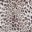 Mayaguana Faux Leopard Print area rug Printed Animal Skin Brown-629540481