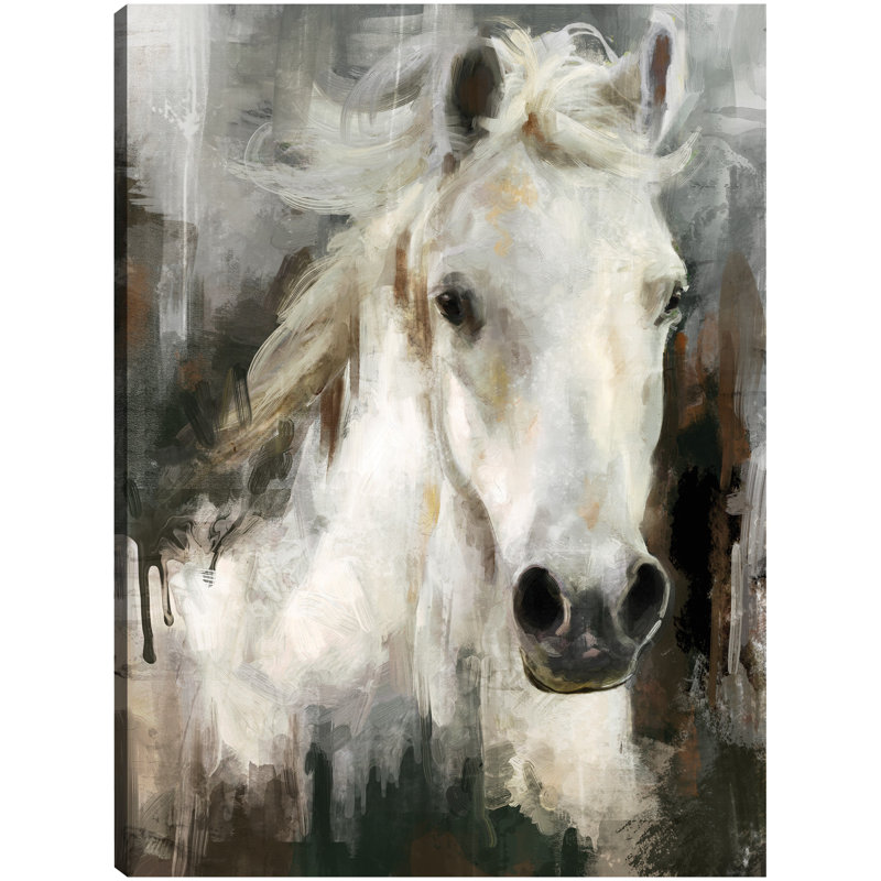 Casper by Studio Arts Canvas Art Print, 14" H x 11" W, Wrapped Canvas