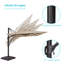 Parasol en porte-à-faux pour patio Dajaha avec base, parapluie carré 10 x 10 pi pour marché, terrasse et balcon-1462215094