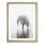 Oak Framed selected