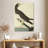 Brampt Booby Gannet-108397044
