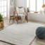 Lizan Shag Area Rug-22156400