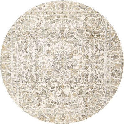 Oriental Indoor Rug