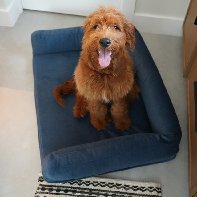 Lit pour chien The Original Rufus, H 9 po x l 36 po x P 27 po, Minuit minuit