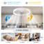 50cm 6-Speed LED Dimmable Reversible Modern Caged Ceiling Fan With Light And Remote Control