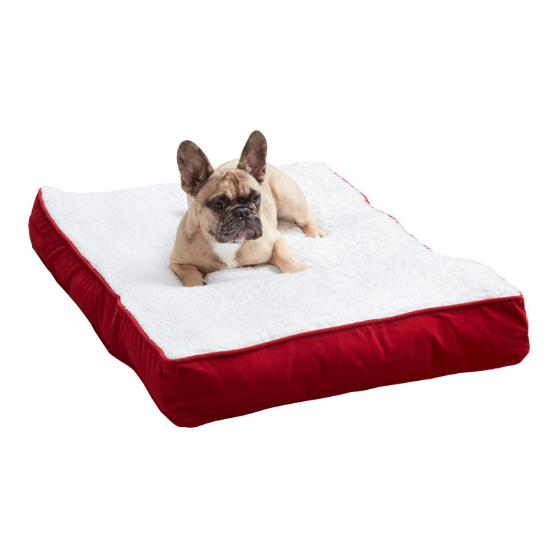 Lit pour chien avec coussin de soutien, Cramoisi, Petit (l 36 po x P 24 po x H 4 po)