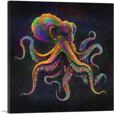" Octopus Animal Tentacles Sea Ocean "