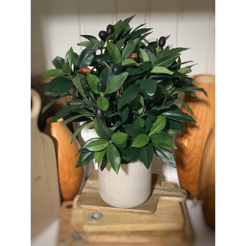 Faux Olive Tree Plant in Fiberstone Pot