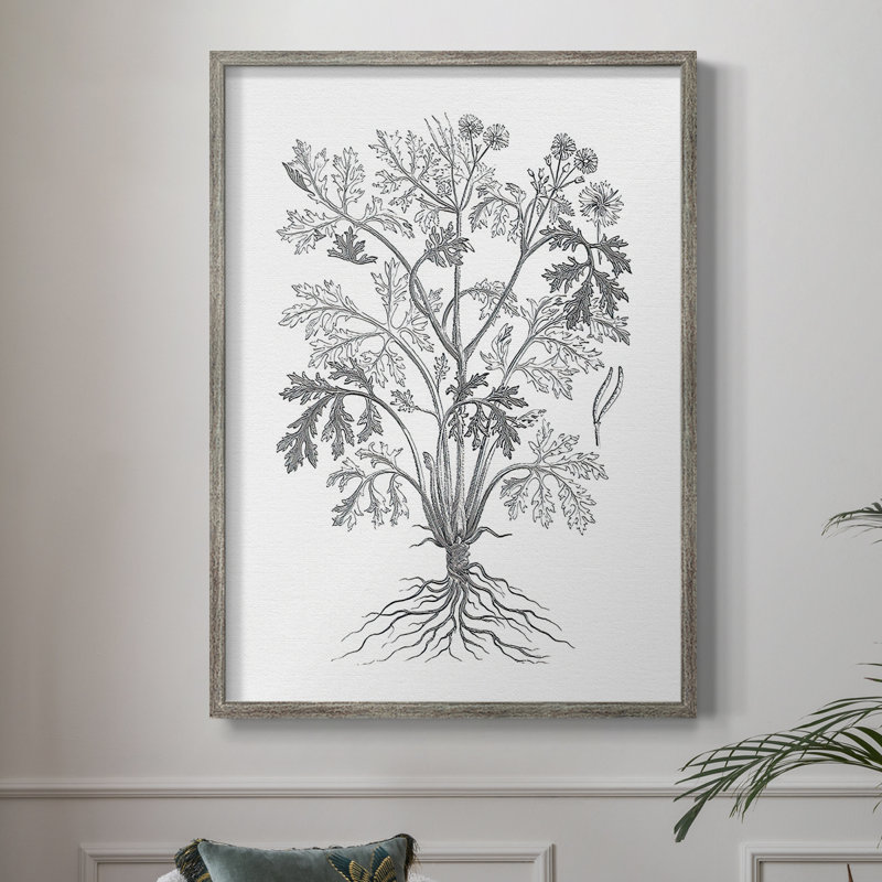 «B&W Plant Spechantillon II», reproduction encadrée - bois massif, H 11 po x l 9 po