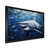 Black Single Picture Framed