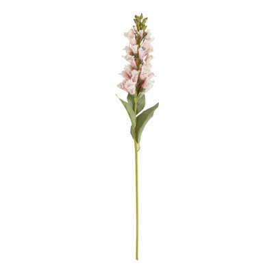 Renard floral Foxglove (ensemble de 12)