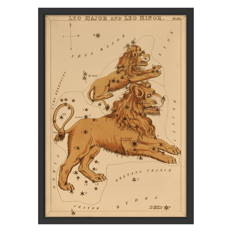 Leo Print by Grand Archives, Black Framed, 32" H x 23" W