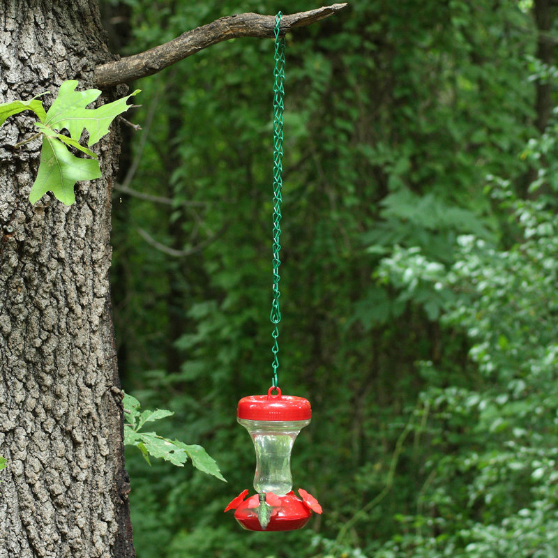 Chaîne pour mangeoires à oiseaux