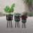 High-Quality Versatile Bamboo Planters for Various Plants and Spaces-96861709-96861711