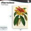 Plaque murale orange rhododendron jaune, design par Print Collection-1648561006