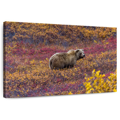 Brampt Denali Grizzly Bear