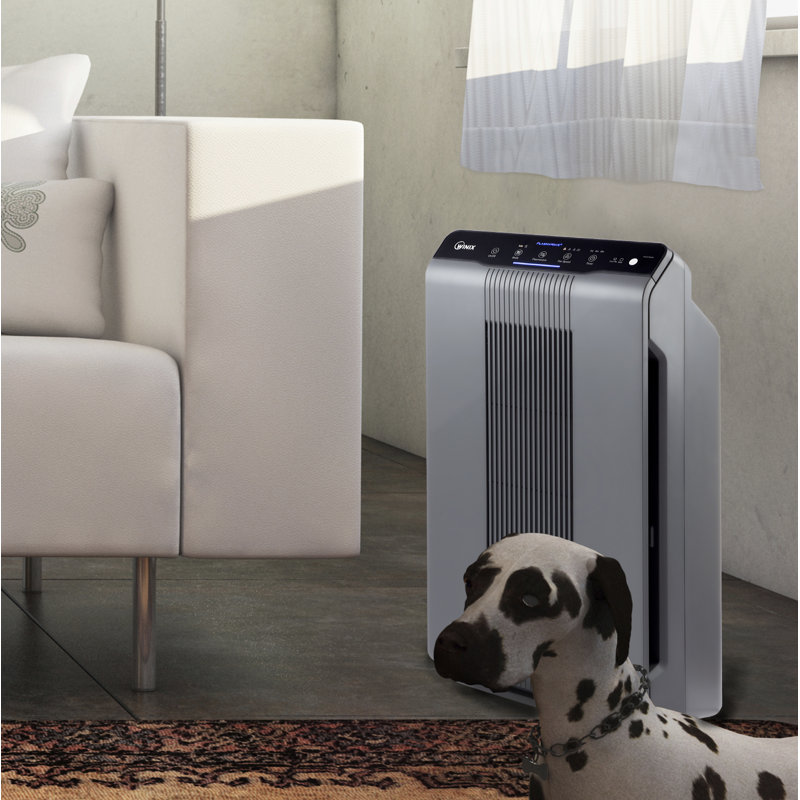 Winix Gray Tower Air Purifier with True HEPA and Carbon Filter
