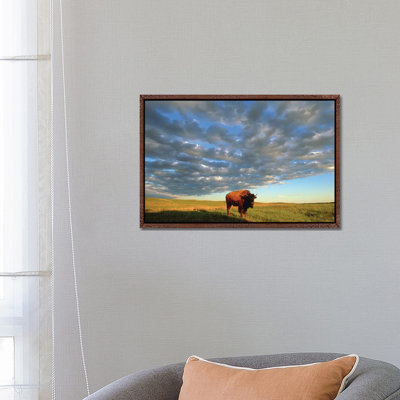 A Bison At The Fort Niobrara National Wildlife Refuge In Nebraska Near Valentine, Nebraska 1 Piece Wall Art on Canvas
