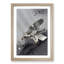 Eagle Hunting by Ohara Koson - Picture Frame Painting Print-55732591-55732592