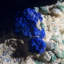 Azurite et cerussite avec miniature malachite - Mine Bou Beker, Maroc