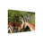 Bolog Bob Langrish Impala Canvas Art-104137702