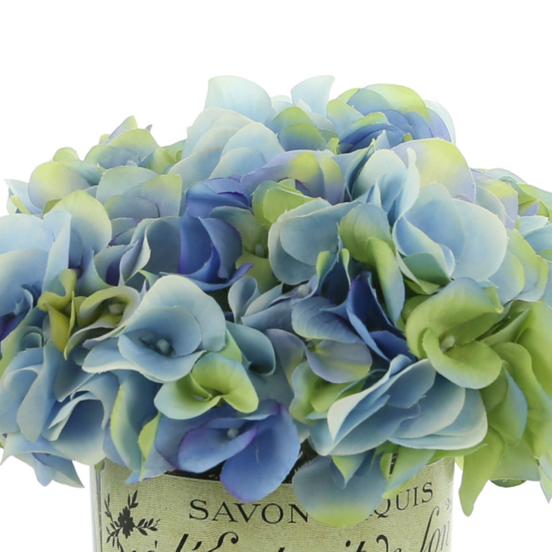 Hydrangea Arrangement in Pot, Blue / Cream
