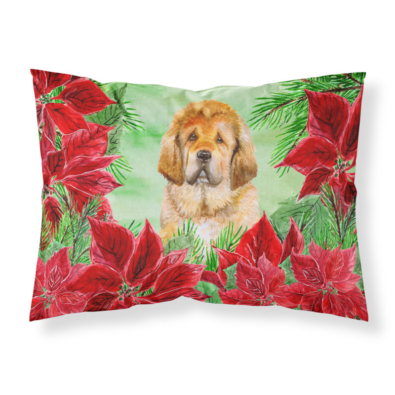 Taie d’oreiller poinsettas, Mastiff tibétain