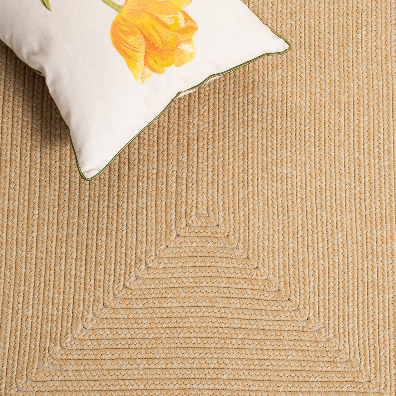 Tapis d'intérieur / extérieur tissé à la main tressé à la main, Carré 4 pi