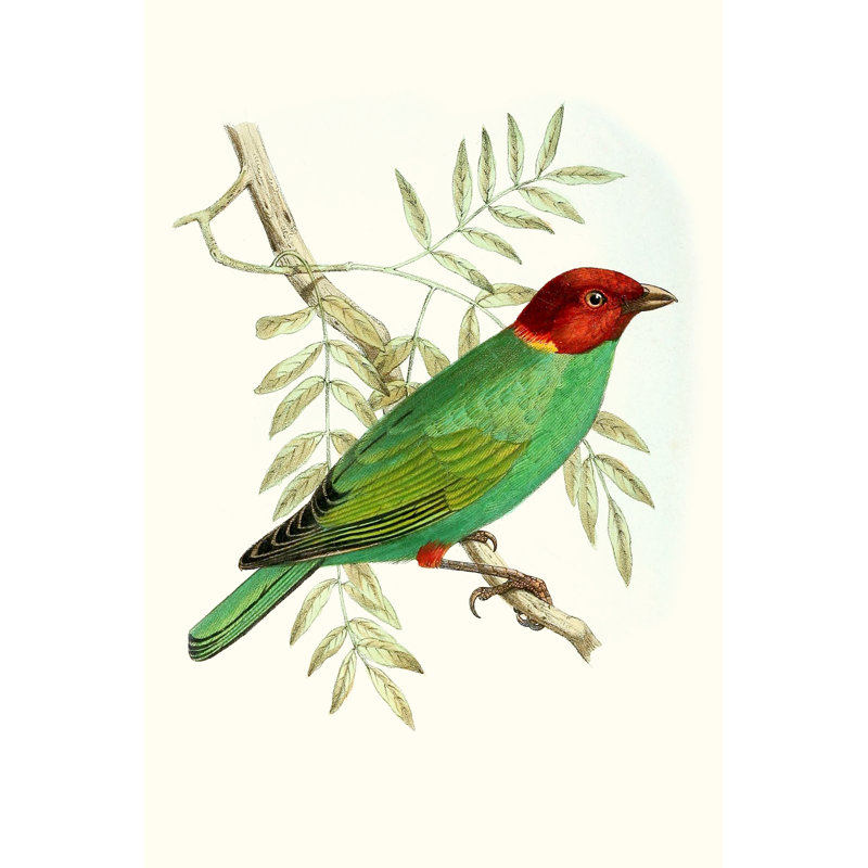 On Perch V - Painting Print, 46cm H x 30cm W, Wrapped Canvas