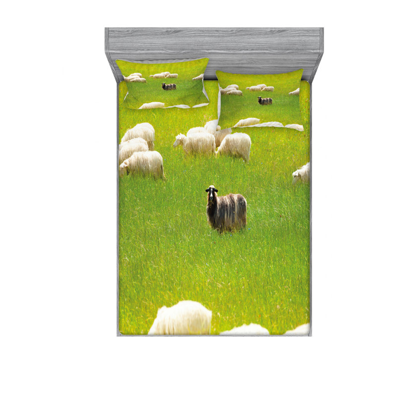 Ensemble de draps Sheep Entre Goatson, Ensemble de drap pour grand lit avec drap-housse