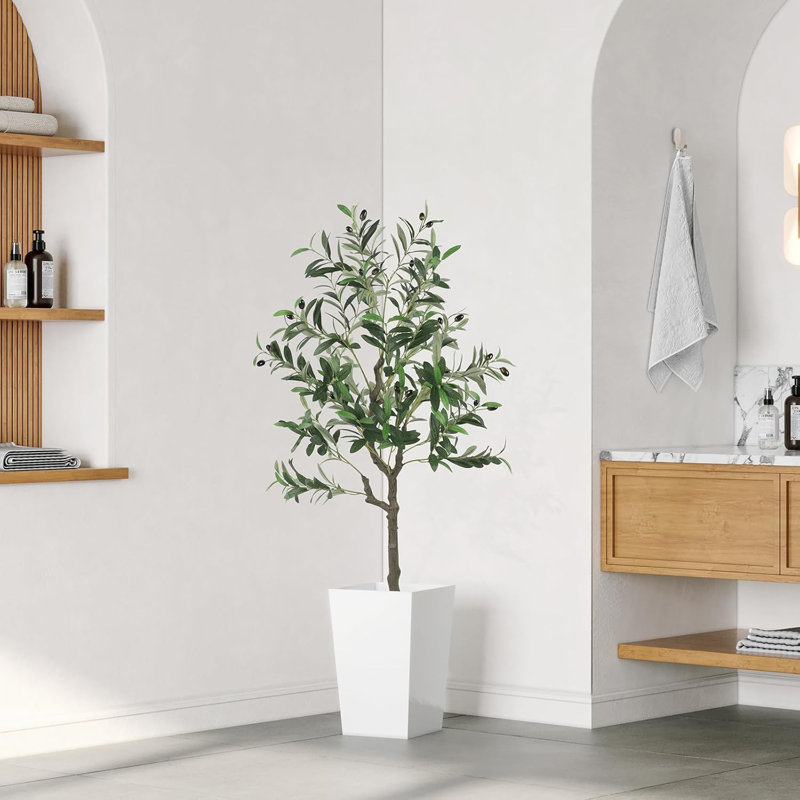 120cm Plant