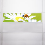 Flower Rectangle Fixture Component Ceiling Light