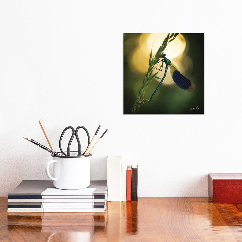 Damselfly In Backlight by Martin Podt - Wrapped Canvas Gallery-Wrapped Canvas Giclée, 30.48 cm H x 30.48 cm W