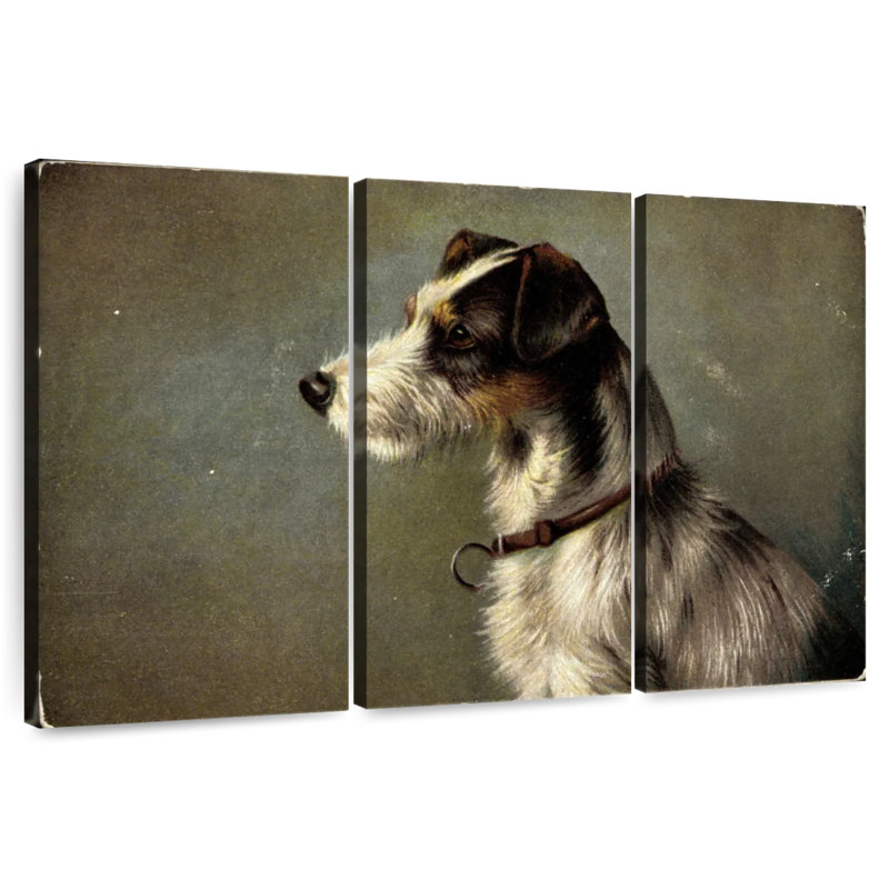 Collier de museau Jack Russell Terrier Brampt Artist, H 20 po x l 33 po