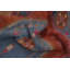 Tapis traditionnel tribal orange en laine 4 x 7