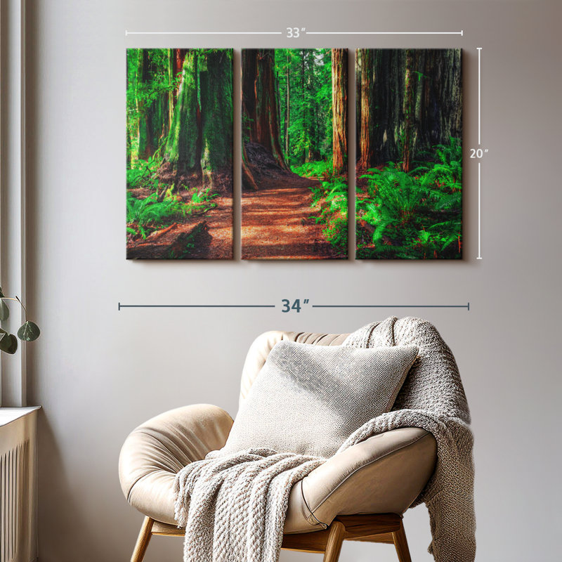 «Redwood Forest Path» sur toile, H 20 po x l 33 po x P 1,25 po