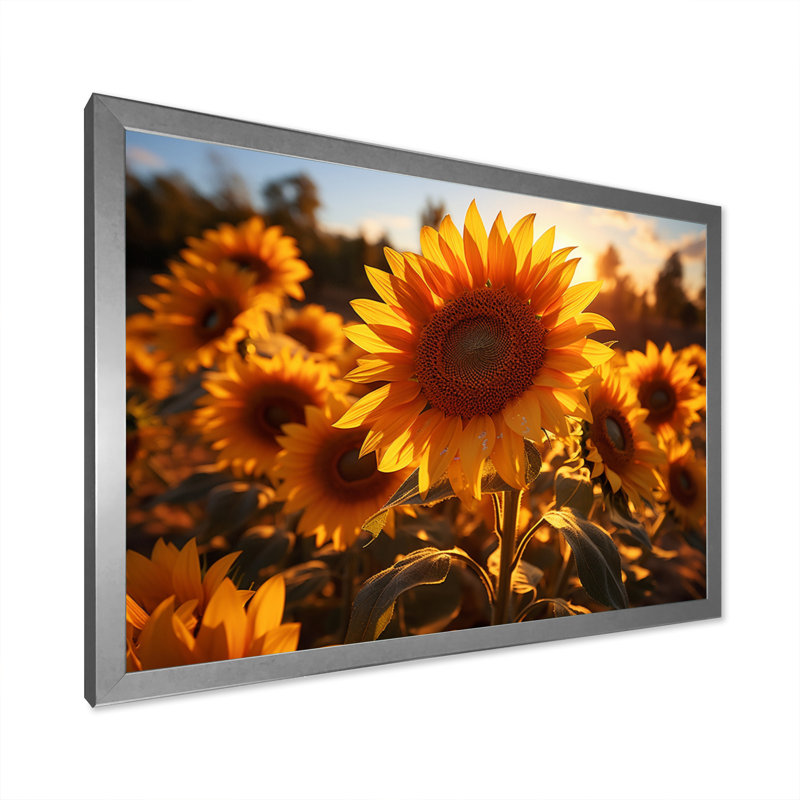Tournesols orange et tournesols éclairés II, Cadre photo argenté, H 16 po x l 32 po x P 1 po