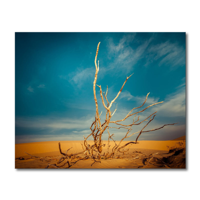 Wrapped Canvas Print, 80cm H x 100cm W x 2cm D