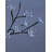 17'' Lighted Trees & Branches-243310536