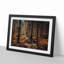 Within the Woods - Framed Print-55613129-55613132