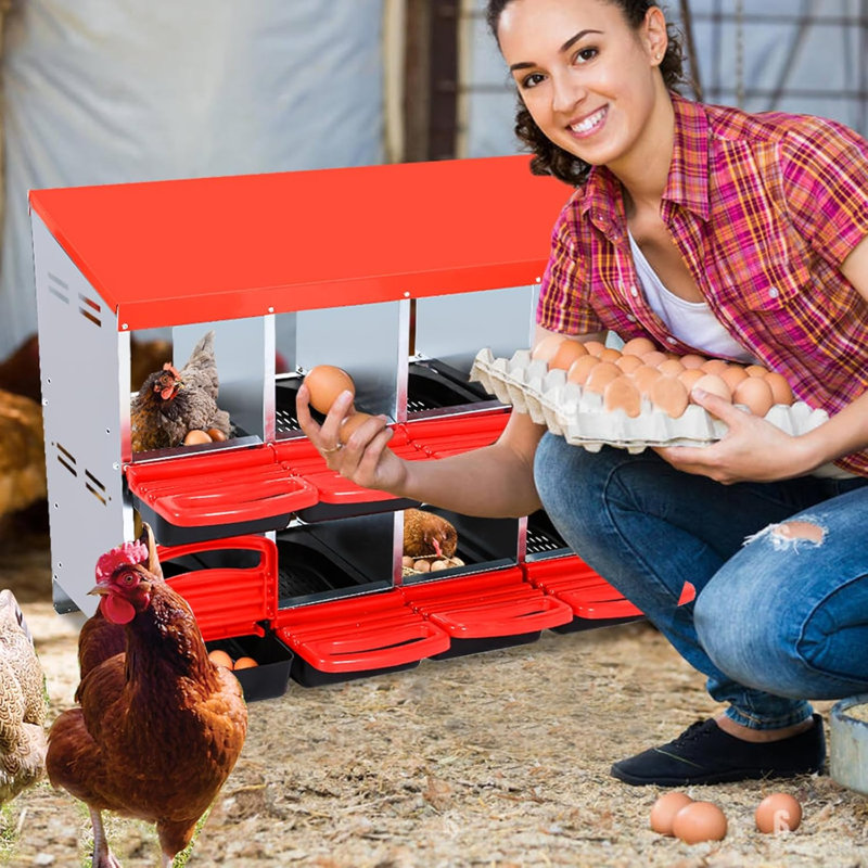 Egg Boxes & Baskets, 79cm H x 107.5cm W x 52cm D