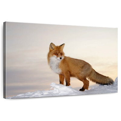 Renard majestueux Brampt