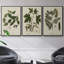 Knorr Shells & Coral VI, ensemble de 3 toiles encadrées sur toile-97792225-97792220