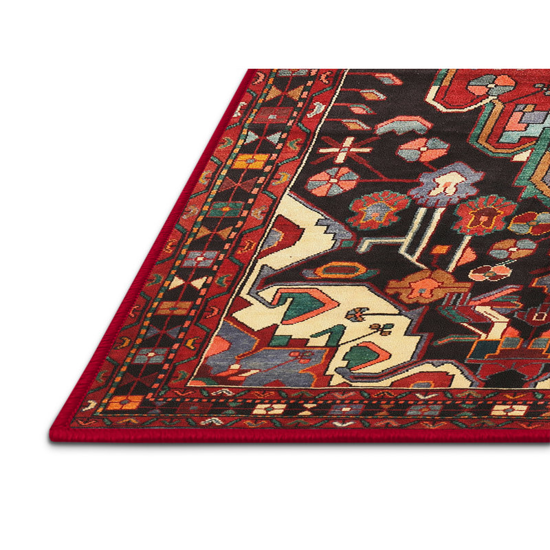 Tapis traditionnel 100% lavable à la machine 317, Rectangle 5 pi x 7 pi