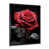 Black Picture Framed selected