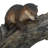 Decorative Brown Water Fountain with Otter Design - 16.9" x 15" x 31.3" - Brown