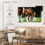 Brampt Clydesdale Horses-107722920