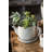 Handmade Statue Planter