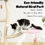 Arbre à chat 52,5 po H Ellanore